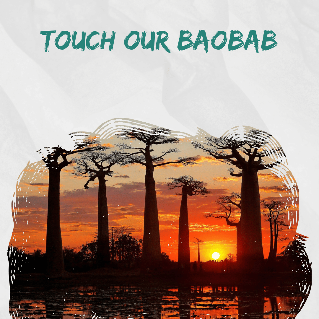 Découverte des baobabs amoureux 7 jours